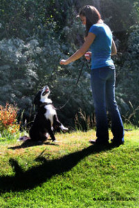 johanna_and_seiki_sit2