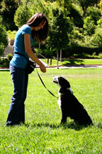 Johanna and Seiki performing Salt Lake City dog training