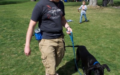 Are You Frustrated that Your Dog Sniffs too Much on Walks? – Salt Lake City Dog Training