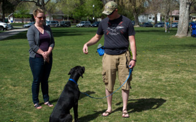 Great Dane - Dog Training - Salt Lake City -Leash Walking Class