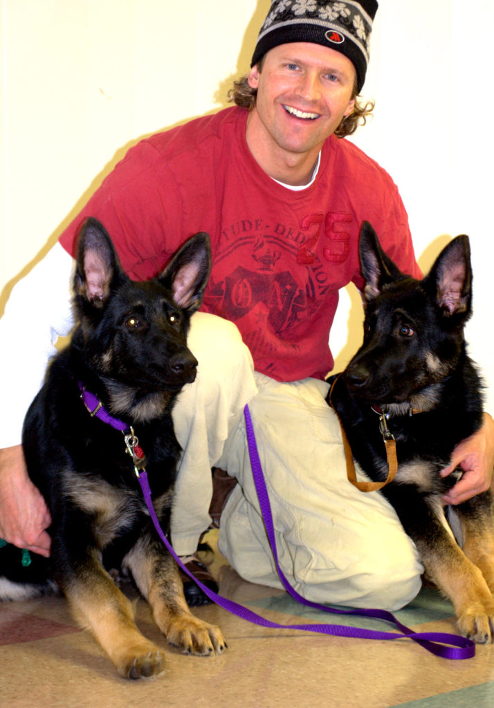 German Sheperd - Puppy Training - Salt Lake City - Four Legged Scholars