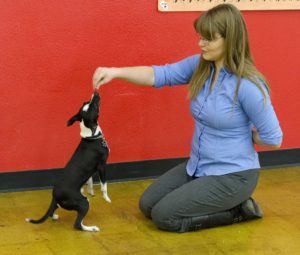 Alyssa Giles - Positive Dog Trainers SLC