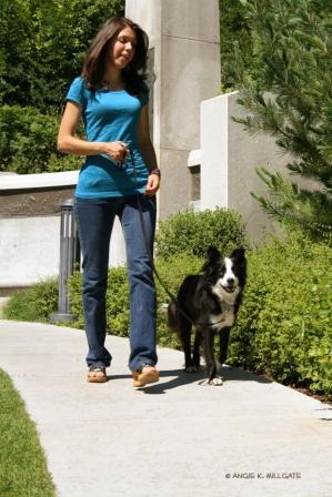 Salt Lake City Dog & Puppy Training : Four Legged Scholars