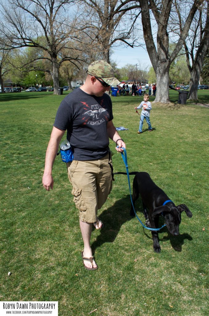 Dog training on the leash in SLC