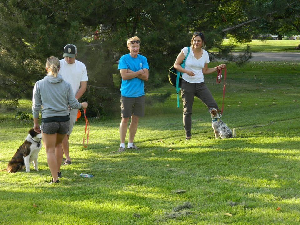 Group Obedience - Puppy Training - Salt Lake City